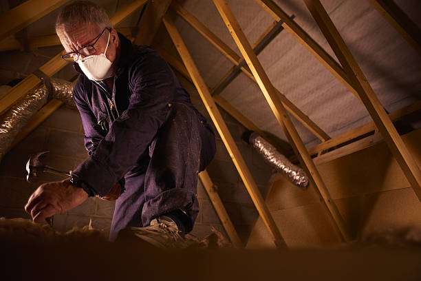 Best Insulation Maintenance and Repair in Northfield, KY